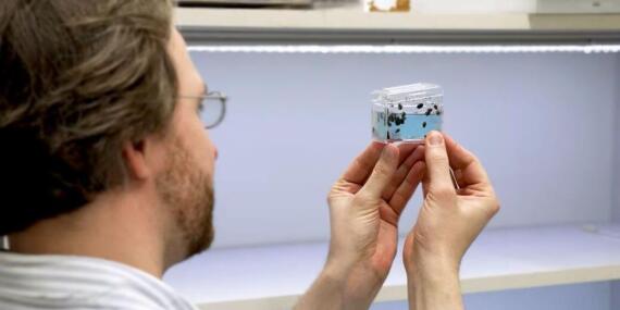 Warumkeinindividuumdemanderengleicht-denismeuthen- C Universitätbielefeld