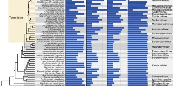 251218-harrisonmikhailova-natcommtermites