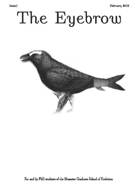 The Eyebrow - Issue 1 February 2018