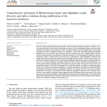 Comprehensive Phylogeny Of Myrmecocystus Honey Ants Highlights Cryptic