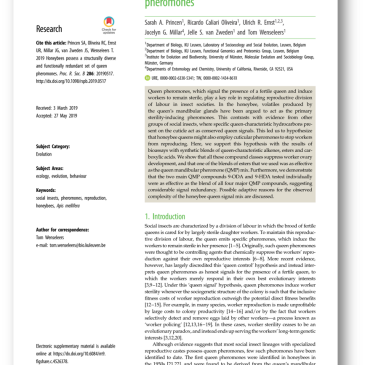 Princen Et Al 2019
