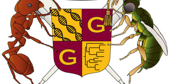 GabdauLab Coat of Arms