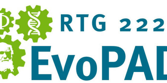 Rtg Logo 4