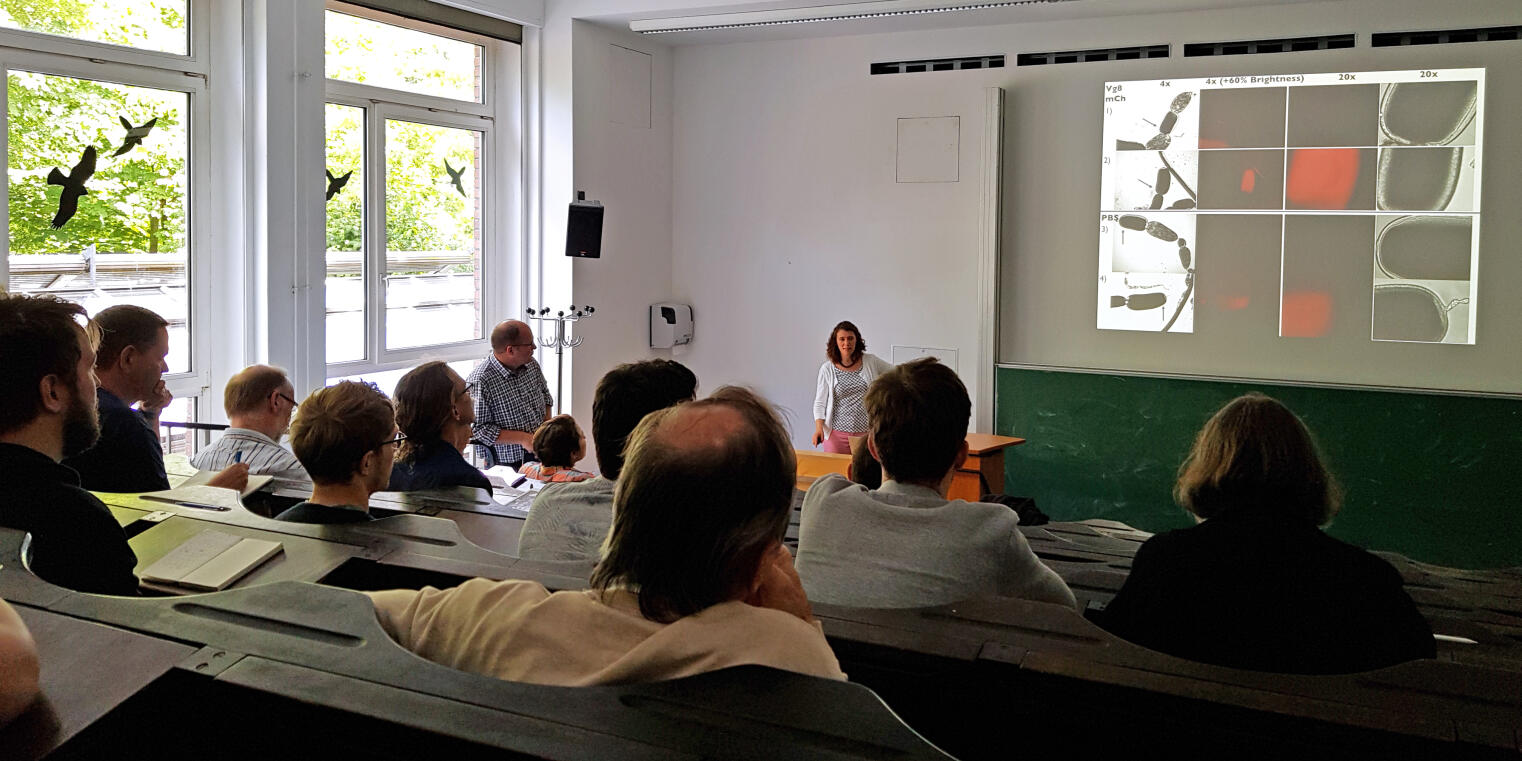 MGSE Mammals vs insects