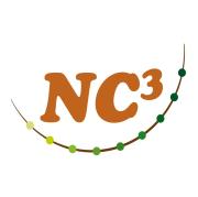 Nc3 Logo