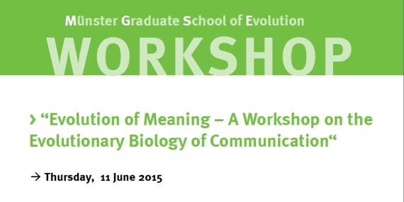 Flyer Workshop Evolution Of Meaning 