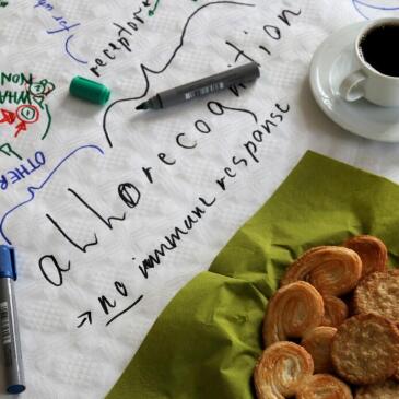 Workshop Allorecognition