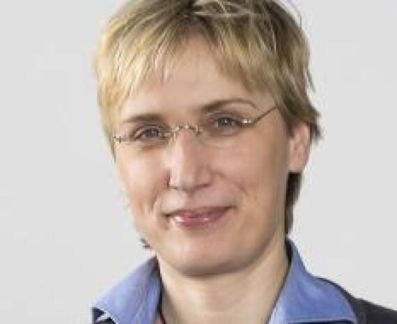 Kristinkleber