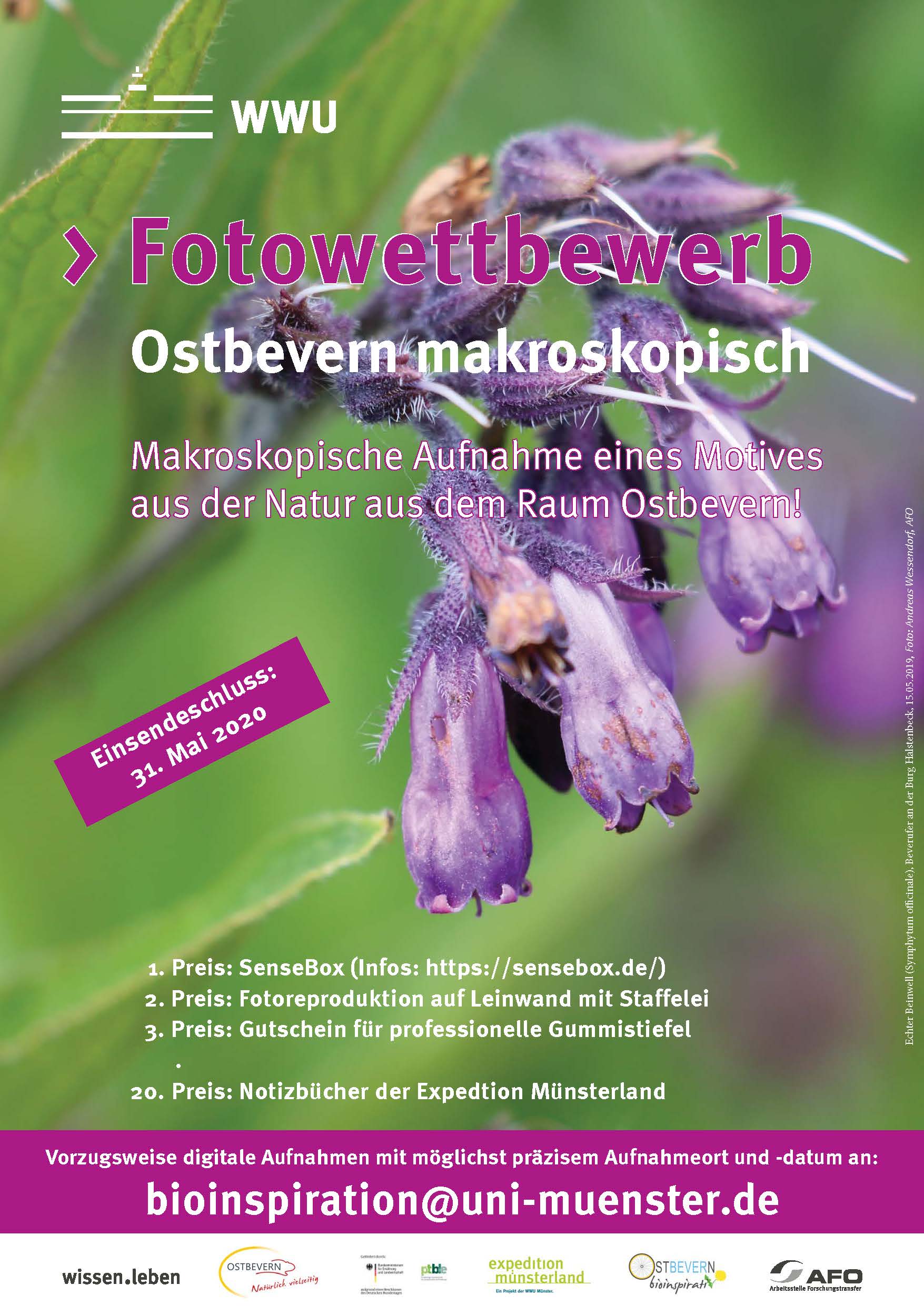 Poster Ostbevern Foto 21 05 2019