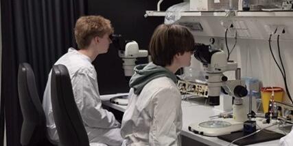 Zwei Schüler*innen teste die Lichtmikroskope im MIC