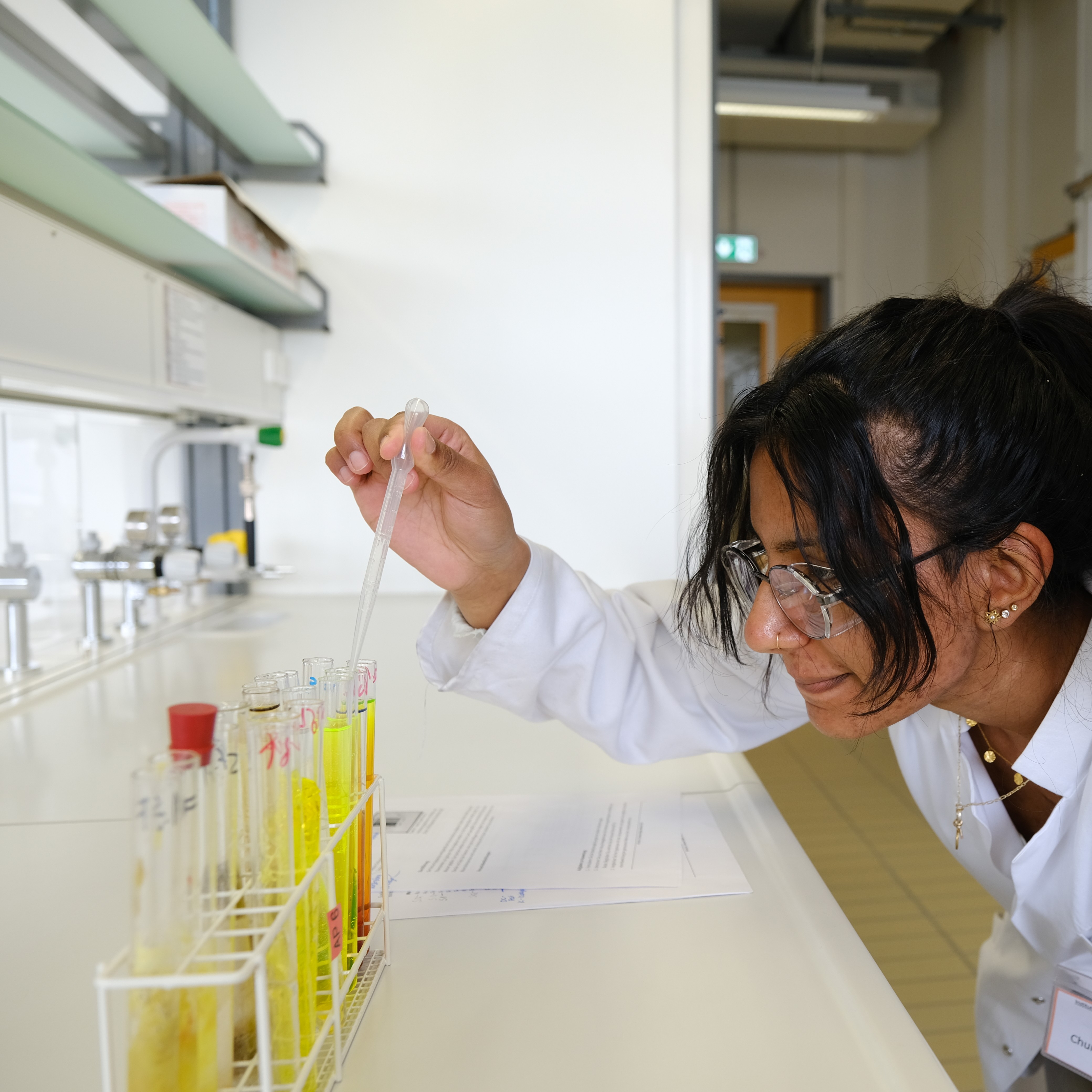 Studierende pipettieren im Labor vom Institut für Didaktik der Chemie.