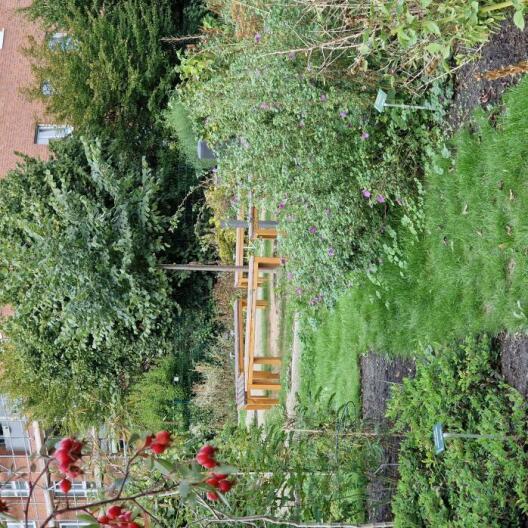 Arzneimittelgarten der Pharmazie