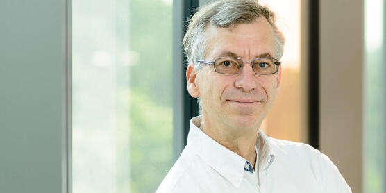 Potrait von Prof. Dr. Andreas Hensel