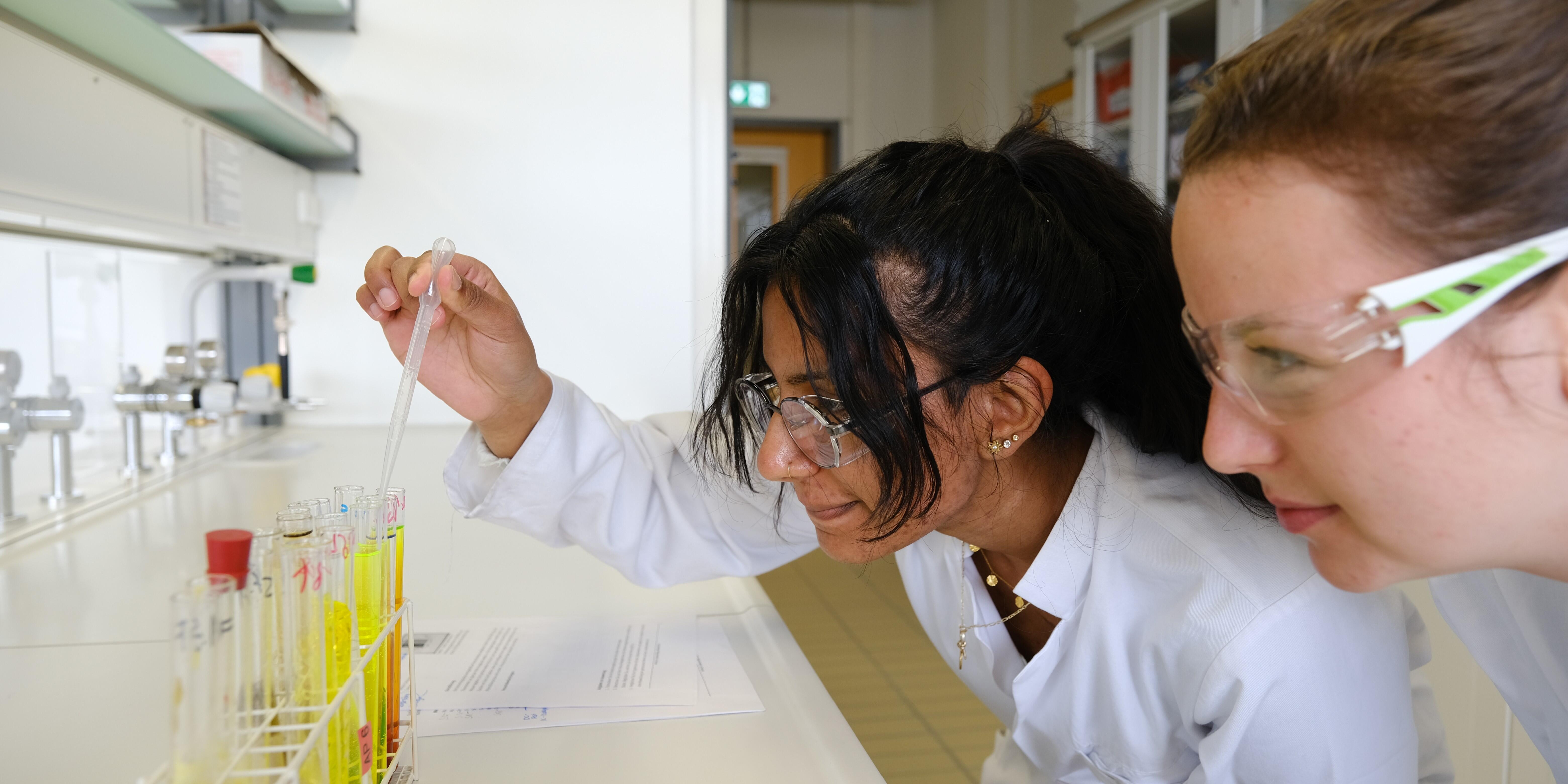 Studierende pipettieren im Labor vom Institut für Didaktik der Chemie.