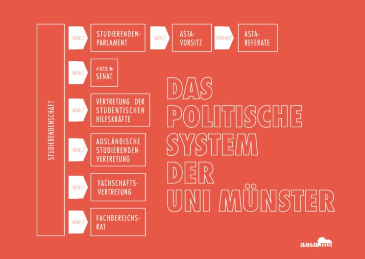 Politisches System WWU