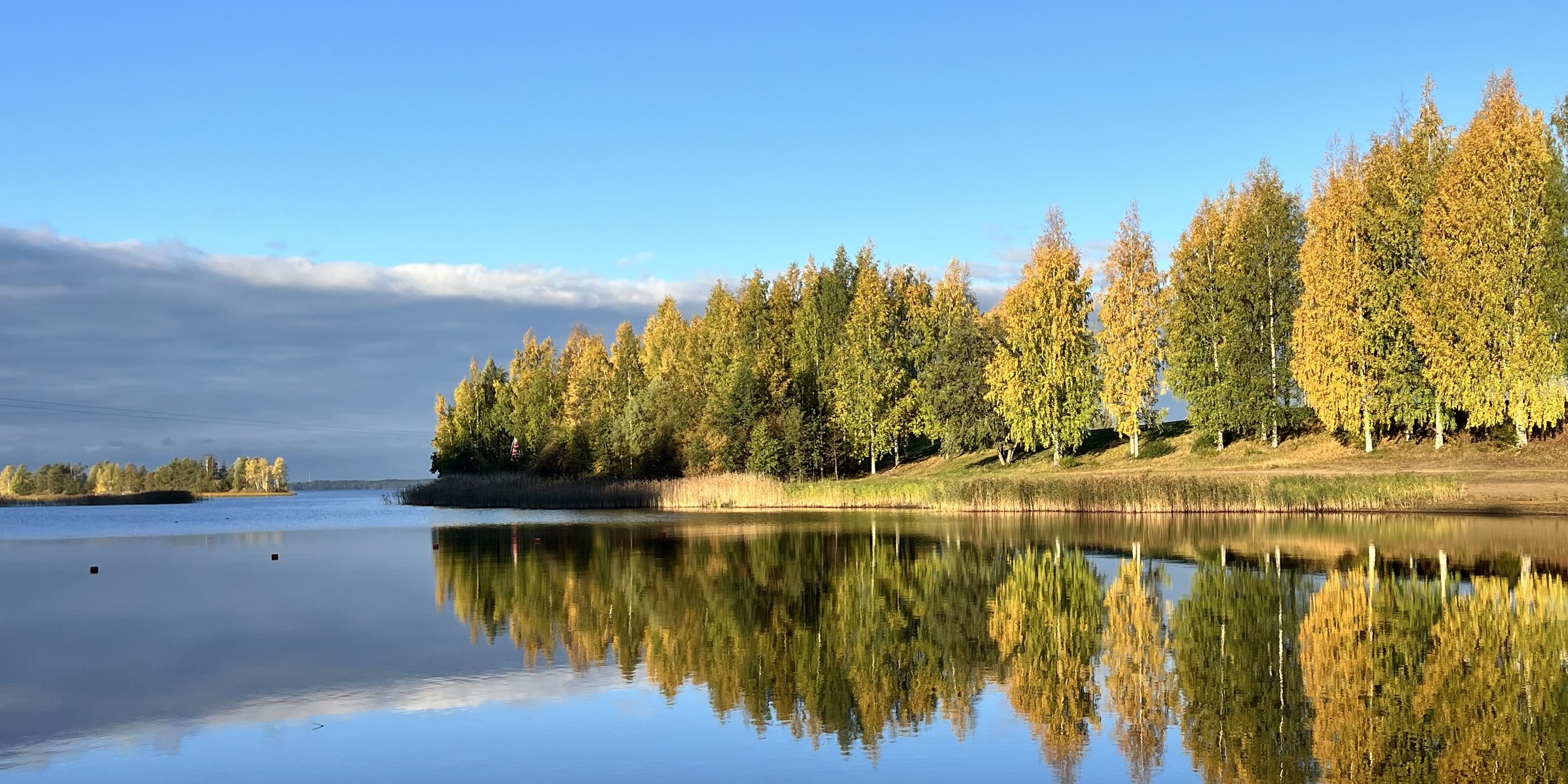 Landschaft mit See und Bäumen bei Joensuu