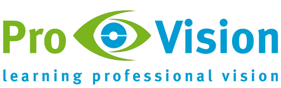 Pro Vision Projektlogo