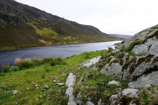 Ein Fluss zieht sich durch die hügelige Naturlandschaft Irlands.