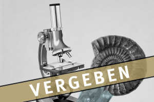 Museumspaedagogischer Raum Vergeben