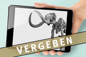 Multimediaguide Vergeben