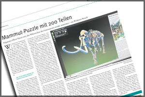 20151111 Mammut-puzzle