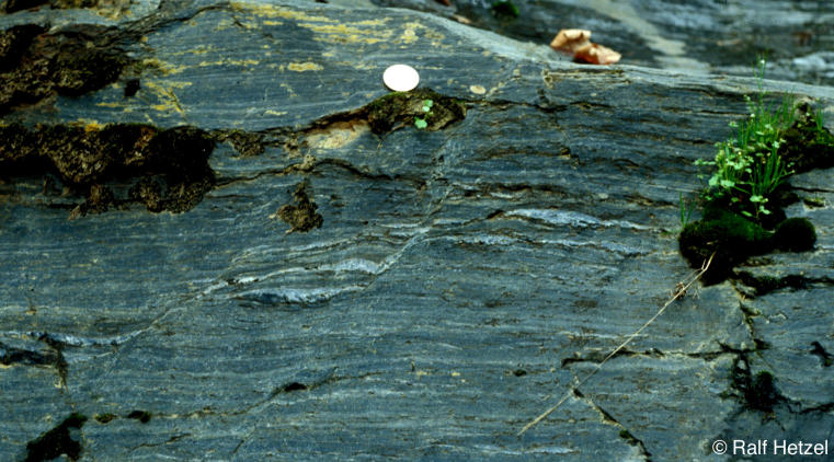 Offset quartz veins in foliated cataclasite, Menderes Massif, SW Turkey