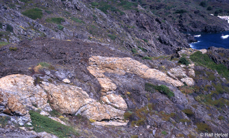 Folded pegmatite dyke, Cadaques, E-Spain