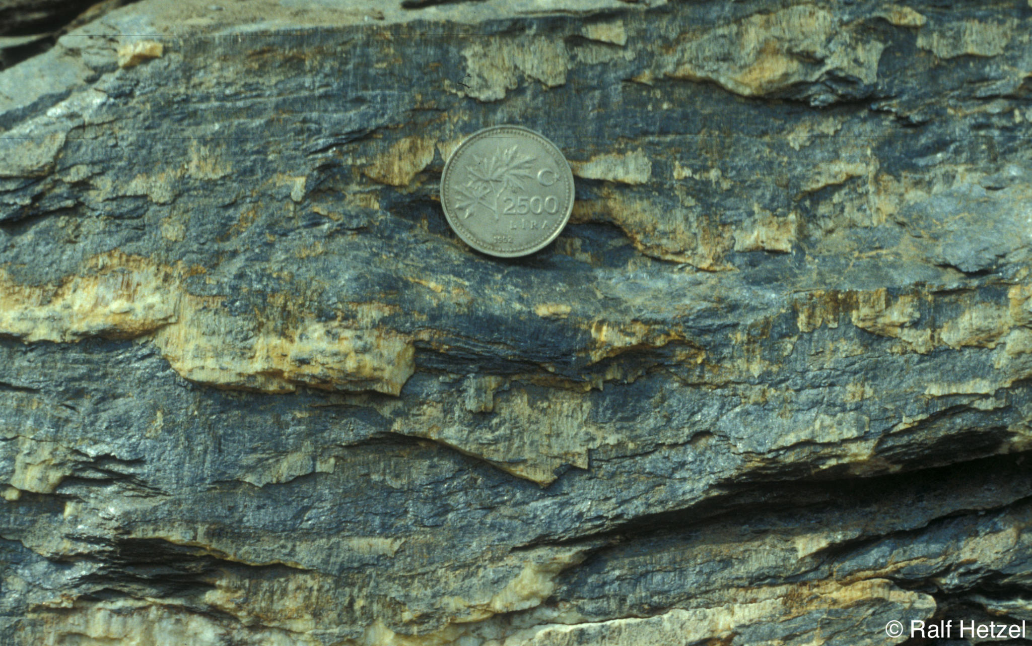 IGP Tectonics and Structural Geology Photo gallery Shear sense