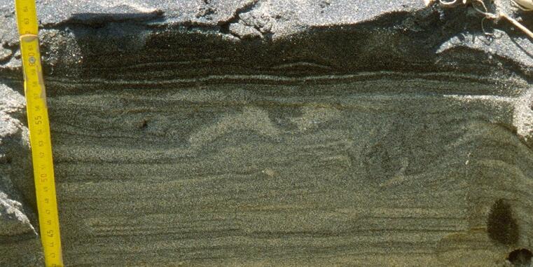 The evolution of tectonostratigraphic terranes in the southern Central Andes