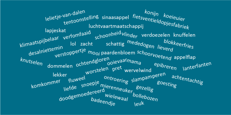 Wortwolke niederländische Lieblingswörter