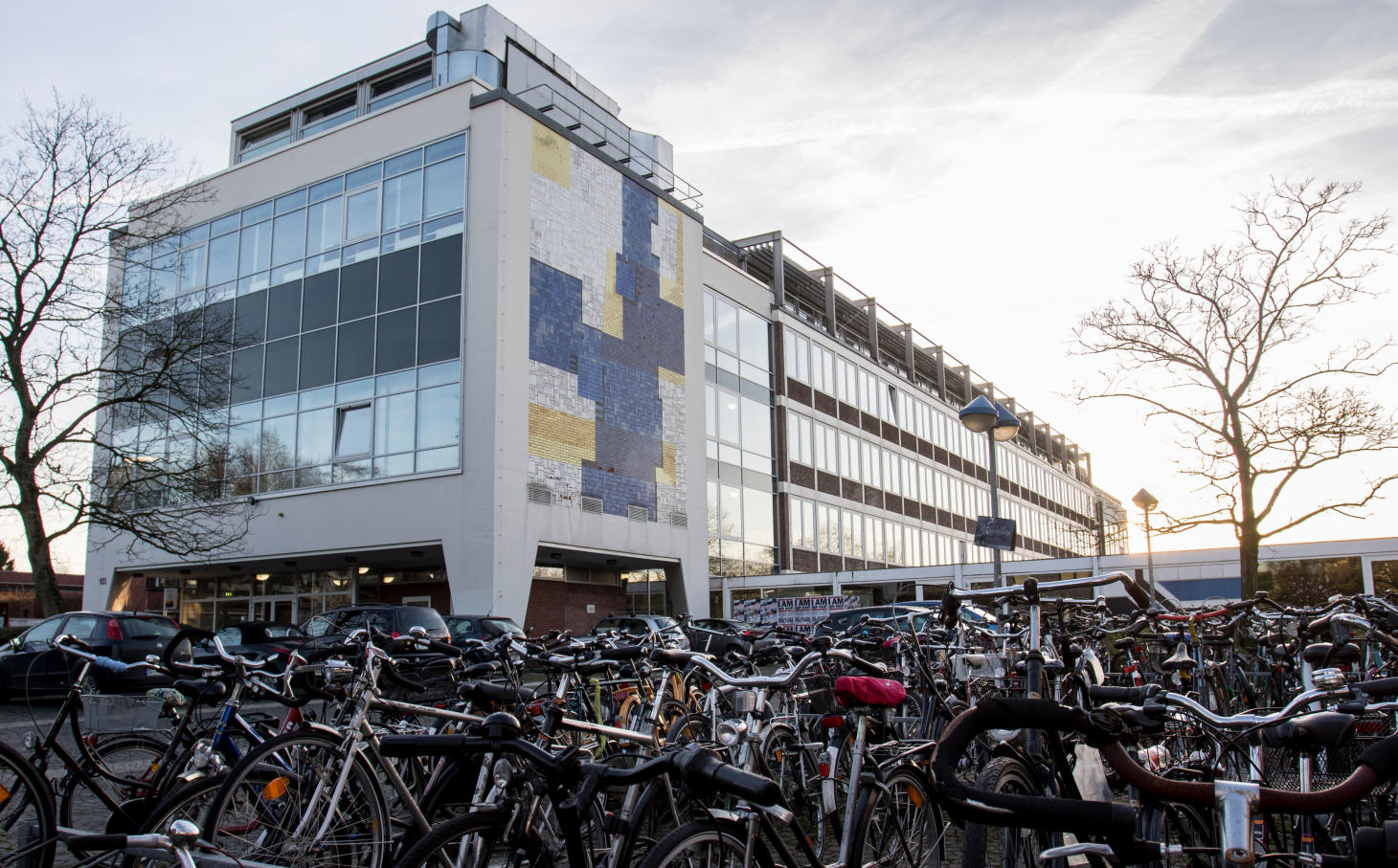 Das Institut für Politikwissenschaft