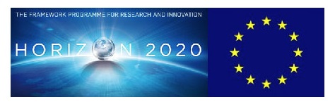Only H2020-grant-no