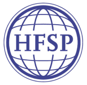 Hfsp Small