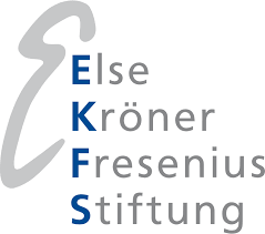 Ekfs Stiftung