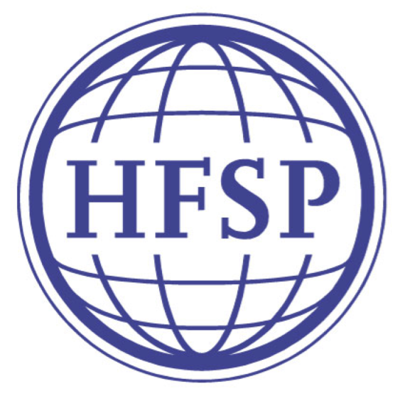 Hfsp Small