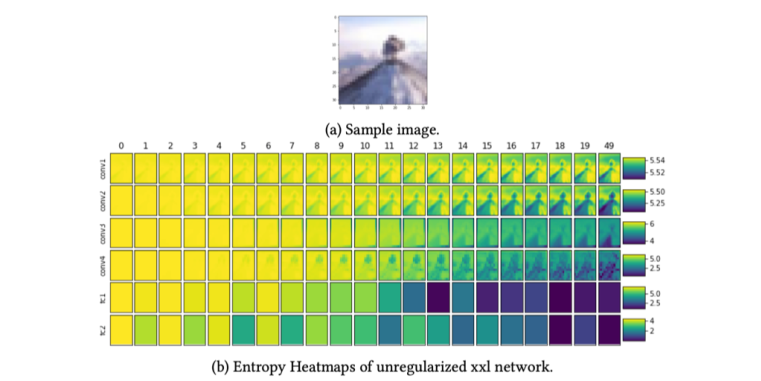 Sparsity in CNNs