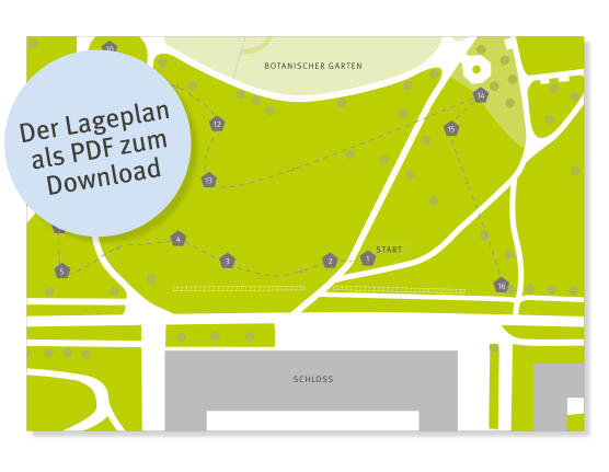 Grafik Lageplan Kleine Baumschule, Link zum Lageplan als PDF