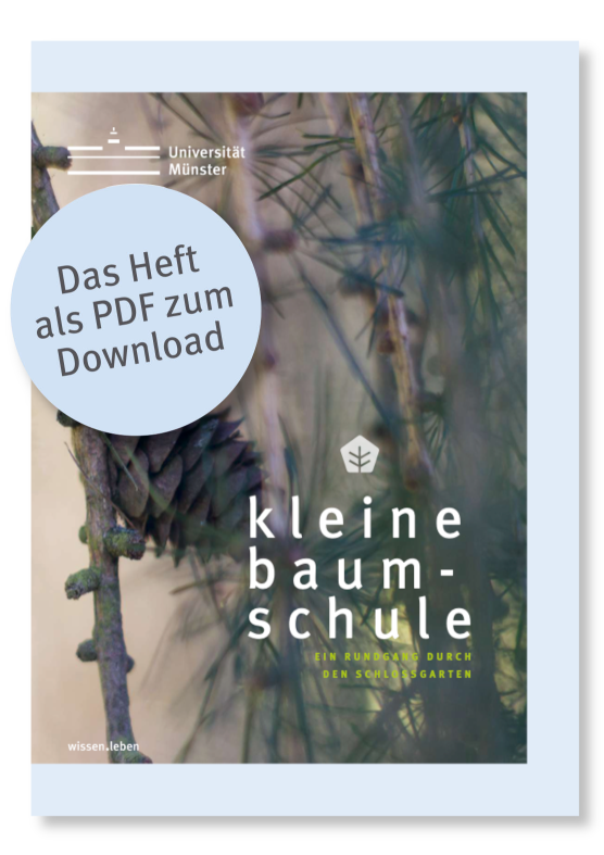 Cover Broschüre Kleine Baumschule, Link zur Broschüre als PDF