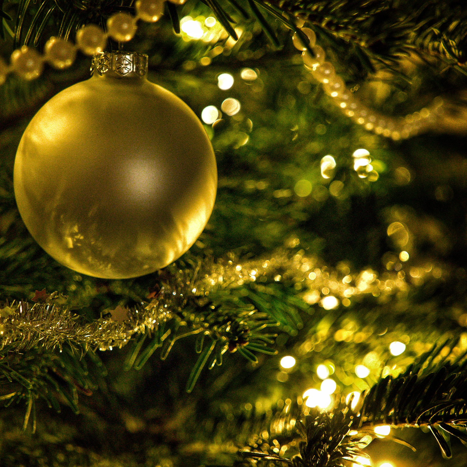 Nahaufnahme eines geschmückten Weihnachtsbaumes mit vielen goldenen Ketten. Im Fokus ist eine goldene Weihnachtskugel.