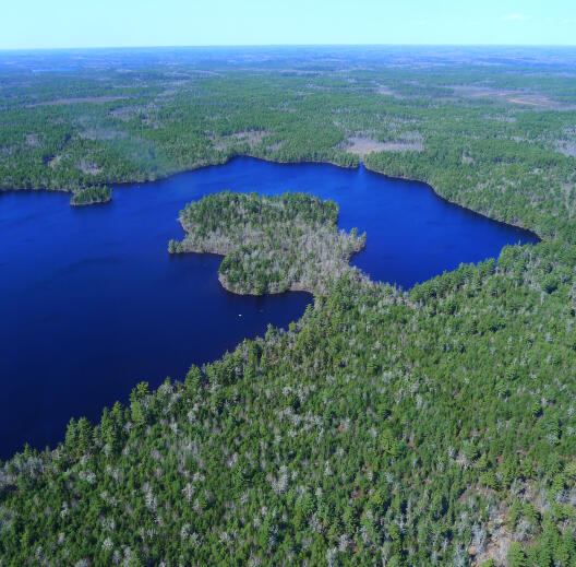 Ein See inmitten von borealem Nadelwald