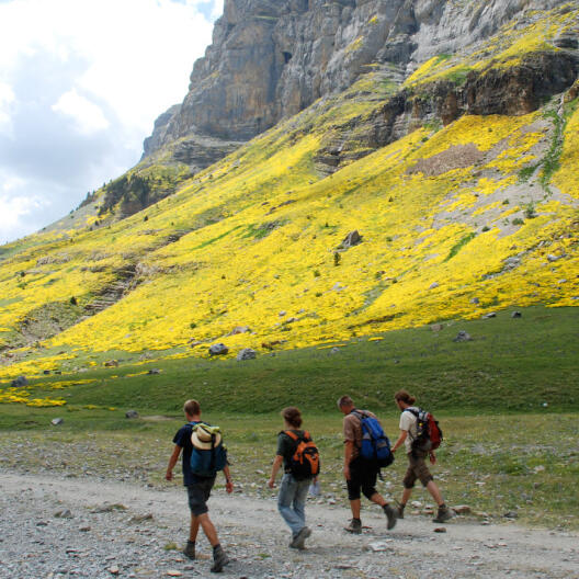 Studierende wandern während einer Pyrenäen-Exkursion durch das Ordesa Tal.