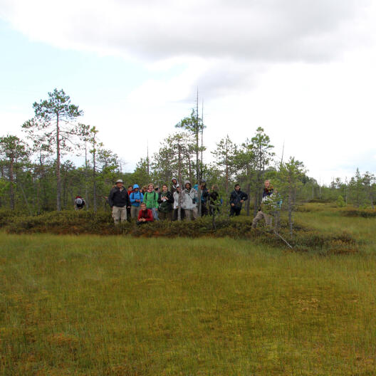 Eine Exkursionsgruppe in der russischen Waldtundra.