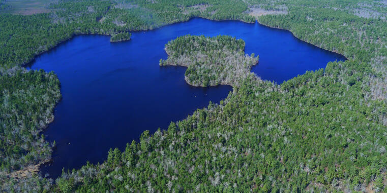 Header Waldoeko 2zu1