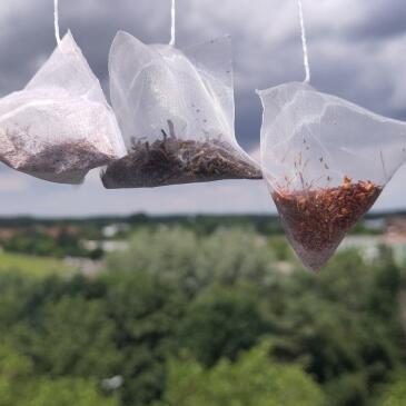 Tea bags with different varieties