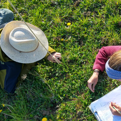 Two people determine the vegetation of a meadow