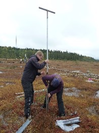 Peat sampling