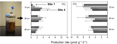 Diagramm: Produktionsrate Methan und C02