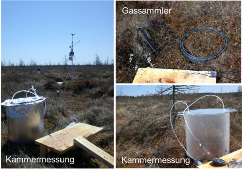 Chamber measurements in the Luther Bog