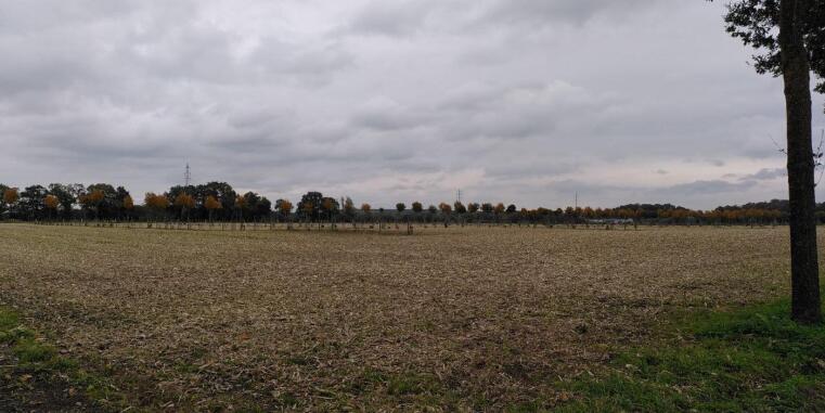 Agroforestry Teaching Steinfurt 