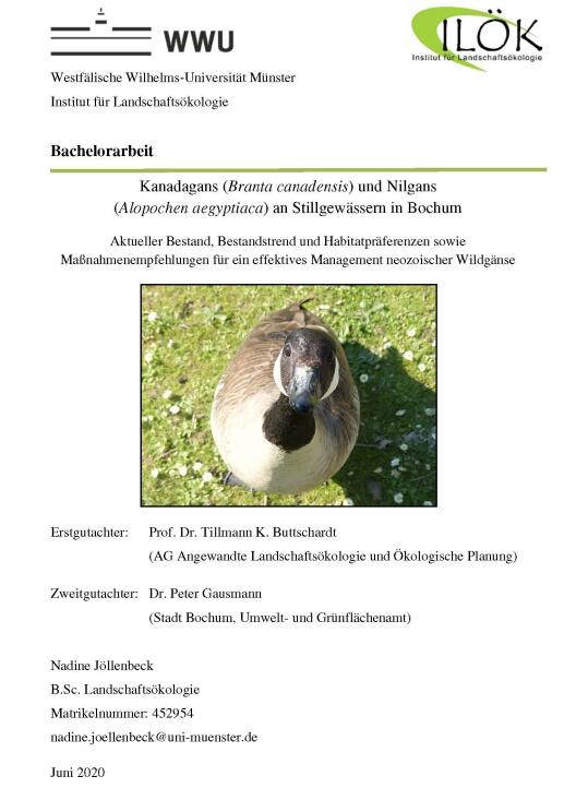 Titelblatt Bachelorarbeit Nadine Jöllenbeck